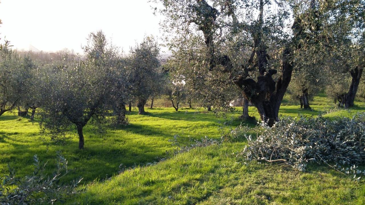 Casa IL BRIO Villa Pistoya Exterior foto
