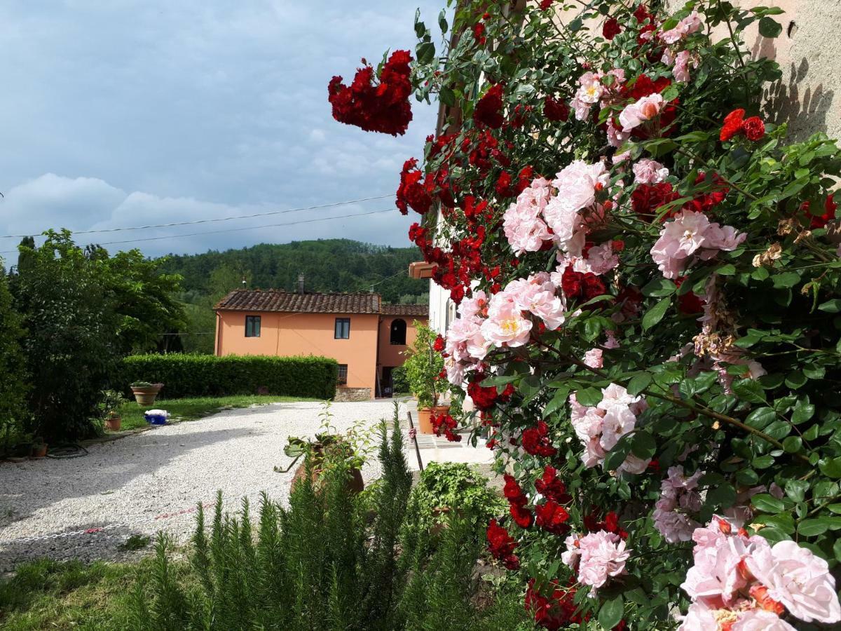 Casa IL BRIO Villa Pistoya Exterior foto